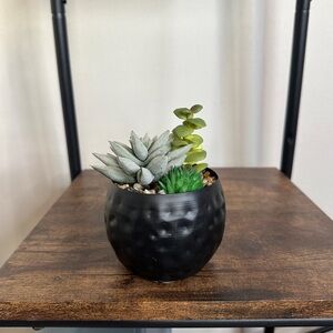 Black Textured Planter with Succulents